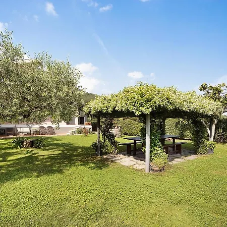 Mansarda Albero Con Piscina