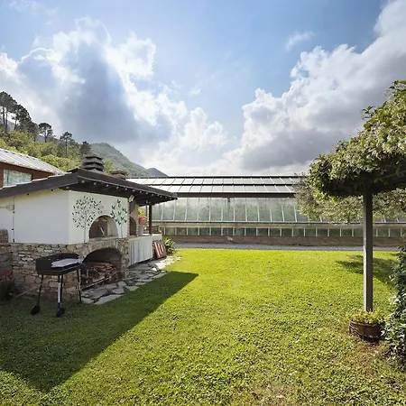 Mansarda Albero Con Piscina