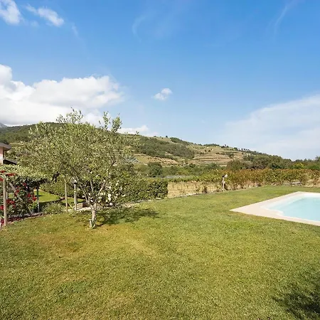 Mansarda Albero Con Piscina *