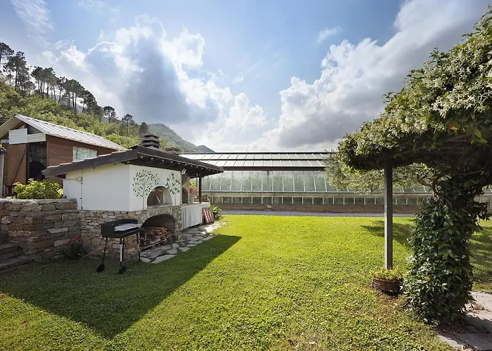 Mansarda Albero Con Piscina